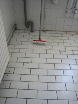 Bovensim Hoogvliet