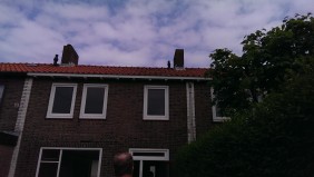 IMAG0135